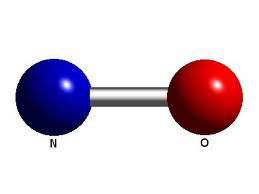 nitric oxide